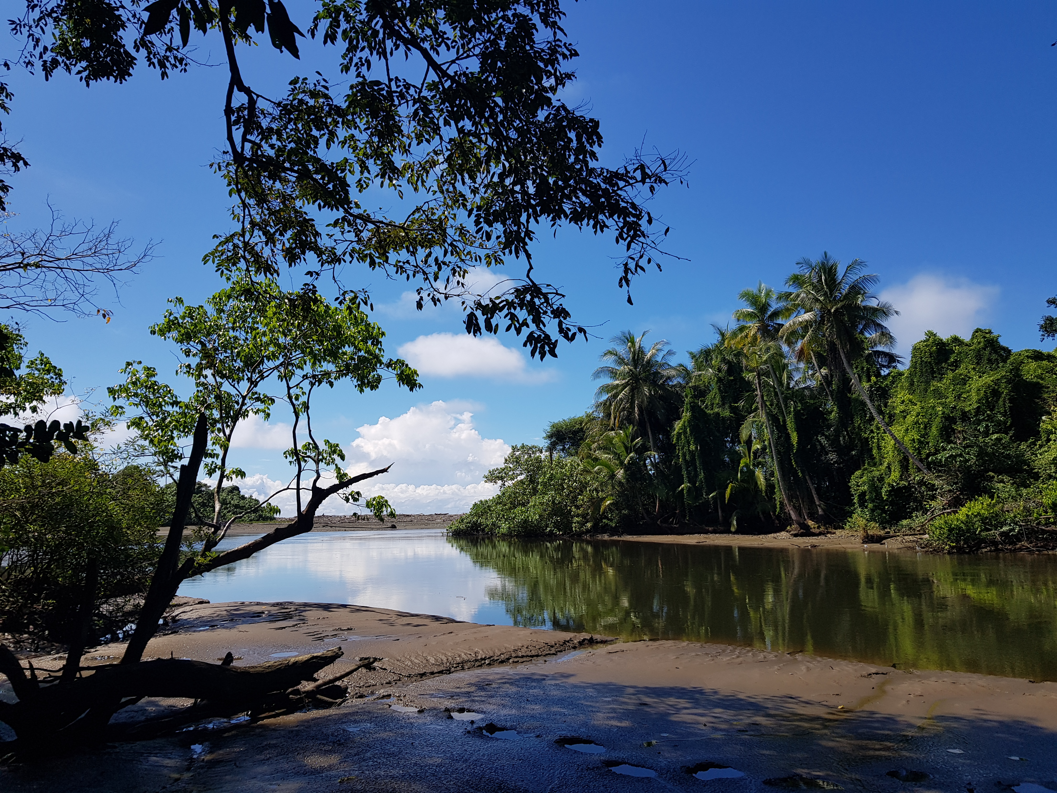 Corcovado, Osa, Costa Rica